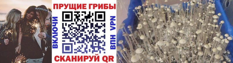 Галлюциногенные грибы GOLDEN TEACHER Фролово